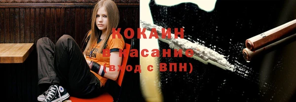 шишки Алексин