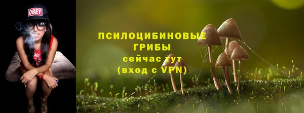 хмурый Алексеевка